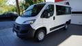 usato FIAT Ducato