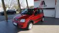 usato FIAT Panda