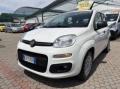 usato FIAT Panda