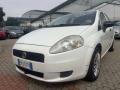 usato FIAT Punto Evo