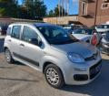 usato FIAT Panda