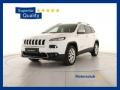 usato JEEP Cherokee