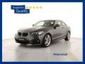 usato BMW 220