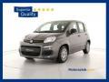 usato FIAT Panda