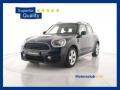 usato MINI Countryman