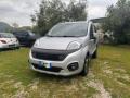 usato FIAT Fiorino