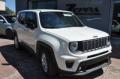 usato JEEP Renegade