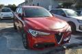 usato ALFA ROMEO Stelvio