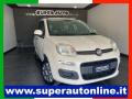 usato FIAT Panda