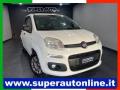 usato FIAT Panda