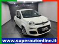usato FIAT Panda