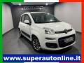 usato FIAT Panda
