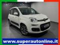 usato FIAT Panda