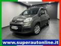usato FIAT Panda