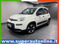 usato FIAT Panda