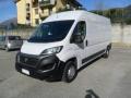 usato FIAT Ducato