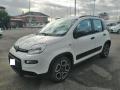 usato FIAT Panda
