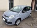usato FIAT Panda