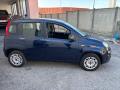 usato FIAT Panda