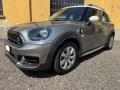 usato MINI Countryman