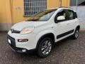 usato FIAT Panda