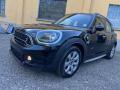 usato MINI Countryman