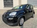 usato FIAT New Panda