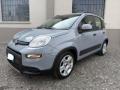 usato FIAT New Panda