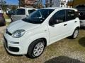 usato FIAT Panda