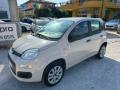 usato FIAT Panda
