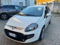 usato FIAT Punto Evo