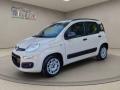 usato FIAT Panda