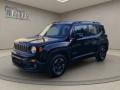 usato JEEP Renegade