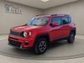 usato JEEP Renegade