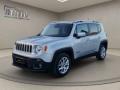 usato JEEP Renegade