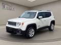 usato JEEP Renegade