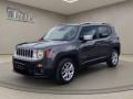 usato JEEP Renegade