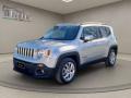 usato JEEP Renegade