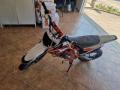 nuovo MINIMOTO PITBIKE LEM