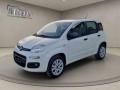 usato FIAT Panda