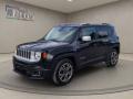 usato JEEP Renegade