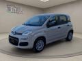 usato FIAT Panda