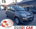 usato FIAT Panda