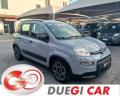 usato FIAT Panda