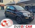 usato FIAT Panda