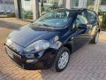  usato Fiat Punto