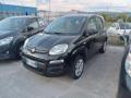 usato FIAT Panda