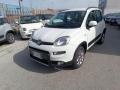 usato FIAT Panda