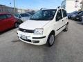 usato FIAT Panda