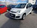 usato FIAT Panda